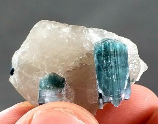 63 Carat Tourmaline Crystal On Quartz @afg