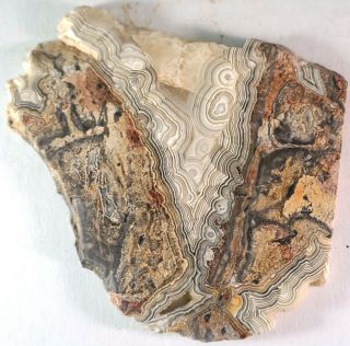 Crazy Lace Agate Slab for Display or Cabbing 2