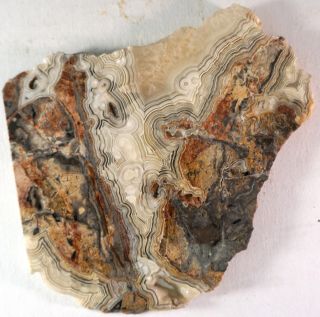 Crazy Lace Agate Slab for Display or Cabbing 3