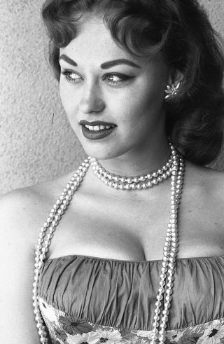 1960s Vogel Negative,  Gorgeous Pin - Up Girl Donalda Jordan,  Cheesecake,  T240214