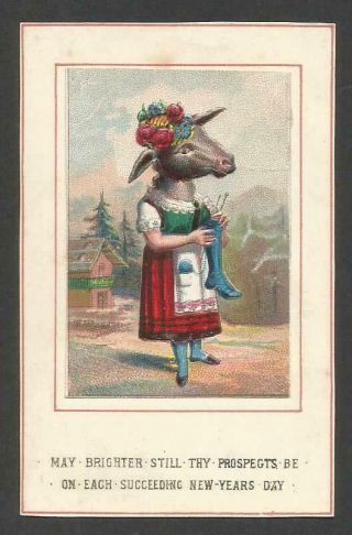 Y59 - Anthro Donkey Knitting A Sock - Embossed Chromo On Victorian Year Card