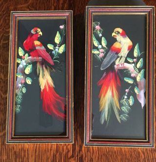 Vintage Mexican Feather Art Bird Pictures Pair Parrots Vibrant Colors