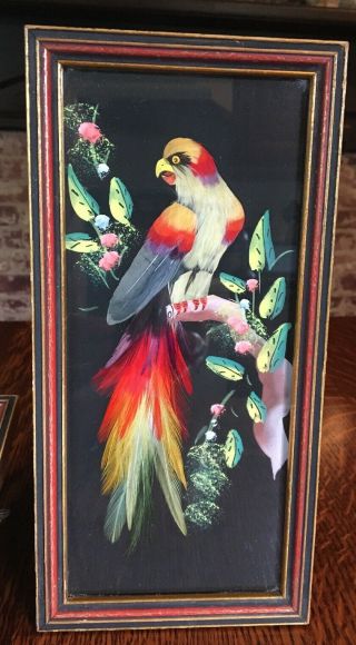 Vintage Mexican Feather Art Bird Pictures Pair Parrots Vibrant Colors 2