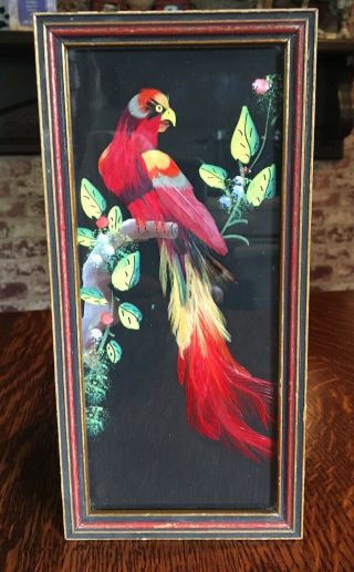 Vintage Mexican Feather Art Bird Pictures Pair Parrots Vibrant Colors 3