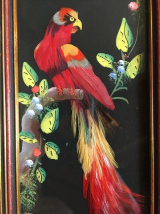 Vintage Mexican Feather Art Bird Pictures Pair Parrots Vibrant Colors 5