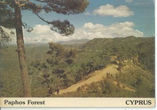 Cyprus Post Card Paphos Forest