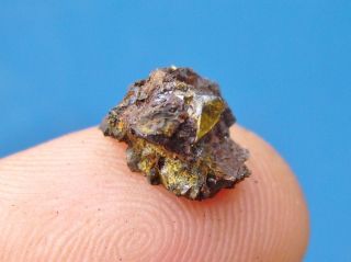 Belarus метеорит Meteorite Brahin Pallasite 1.  21 Grams