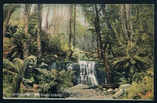 Tasmania • Ca1908 " A.  Maher " Postcard • Waterfall,  Fern Tree Bower,  Hobart