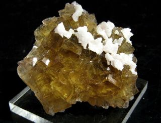 Spectacular Yellow Fluorite Crystals With Dolomite.  Asturias.  Spain.  Nºz14