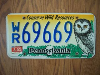 Pennsylvania “conserve Wild Resources” License Plate Owl Graphic