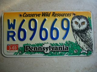 Pennsylvania “Conserve Wild Resources” License Plate Owl Graphic 2