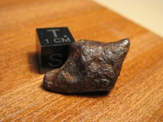 Meteorite AGOUDAL,  Iron meteorite (siderite) from crater in Atlas mountains. 2
