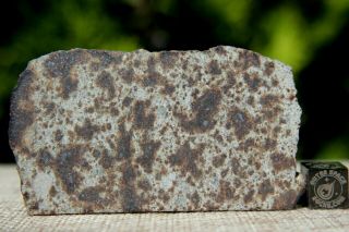 Nwa 7650 L6 Chondrite Meteorite 34.  3 Gram Part Slice With Metal