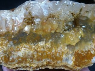 Css: 10 Lbs 1 Oz Of Old Plume Agate With Multi Colors Graveyard Point