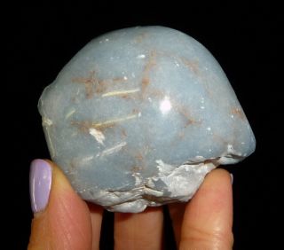Dino: Angelite Crystal Polished Nodule - 134 G - Lapidary Rough Or Display