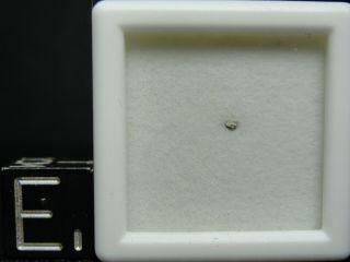 Meteorite Nwa 6963 Achondrite Martian Shergottite - G201 - 0252 - Micro - Gem Case