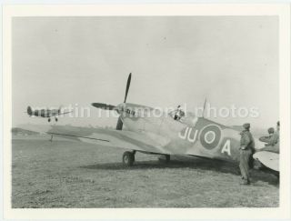 111 Squadron Supermarine Spitfires Large Iwm Photo,  Bz573