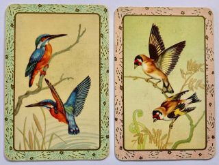 Vintage Swap/playing Cards - Birds - Blank Backs