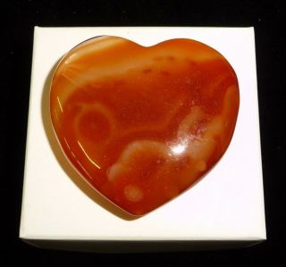 Dino: Banded Carnelian Agate Polished Heart Stone,  Brazil - 28 grams 2
