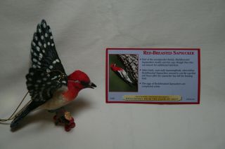 Danbury Red - Breasted Sapsucker Bird Ornament With Card