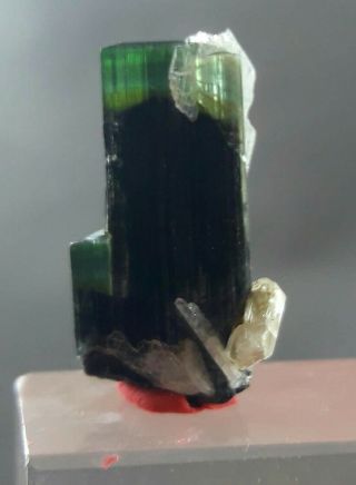 16 Carat Natural Green Tourmaline Crystal From Pakistan