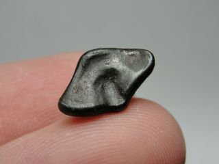 Meteorite - Sikhote - Alin - Iron - IIAB - SA - 1195 - 2.  73g - COA/Observed Fall 1947 2