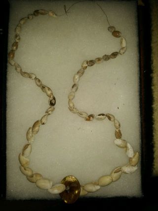 California Shell Bead Necklace Indian Artifact