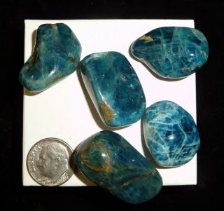 Dino: 5 Blue Apatite Crystal Tumbled Chakra Stones,  Madagascar - 56 Gr.