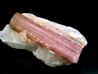 Minerals : Large Rubellite Crystal On Quartz Matrix From Brazil