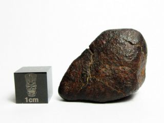 Nwa X Meteorite 16.  39g Cool Cosmic Chondrite