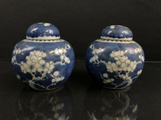 Vintage Chinese Blue And White Porcelain Ginger Jars