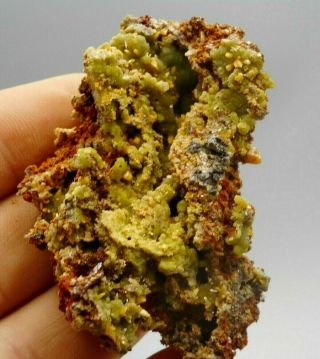 Butterscotch Wulfenite With Green Mimetite Crystal Cluster Display Specimen 017