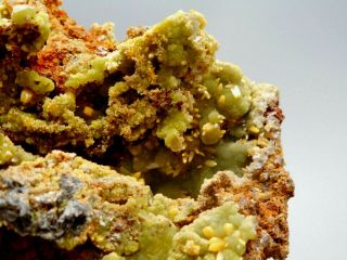 Butterscotch Wulfenite with Green Mimetite Crystal Cluster Display Specimen 017 2