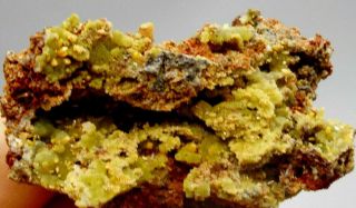 Butterscotch Wulfenite with Green Mimetite Crystal Cluster Display Specimen 017 3