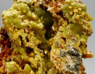 Butterscotch Wulfenite with Green Mimetite Crystal Cluster Display Specimen 017 5