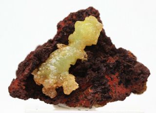 Rare Adamite Gemmy Crystal Cluster Mineral Specimen Matrix Mapimi Mine Mexico