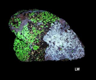 Fluorescent Zincite/hydrozincite/calcite/franklinite From Sterling Mine,  Nj