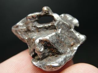 Meteorite - Campo Del Cielo - Iron Meteorite - Cdc - 4706 - 10.  83g - Natural Hole