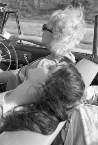 60s Vogel Negative,  Sexy Pin - Up Girls Shawn Daley & Carol Mcbean In Car,  T238205