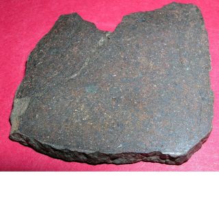 Jah 073 Meteorite: 20.  8 Gram Polished Slice