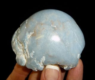 Dino: Angelite Crystal Polished Nodule - 136 G - Lapidary Rough Or Display