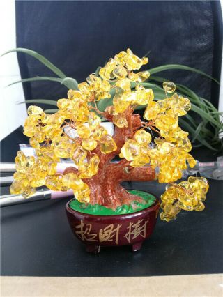 370 - 380g Lucky Tree Natural Crystal Pretty Citrine Yellow Crystal Gem Tree