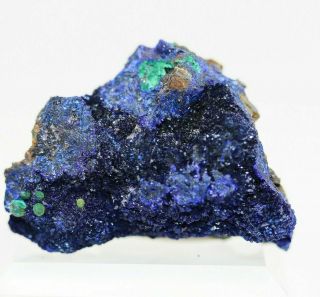 1 3/8 " Azurite W/ Malachite Sepon Mine,  Laos Laz2850