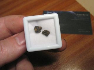 Meteorite Nwa 801 - Metal - Rich Carbonaceous Chondrite - Cr2
