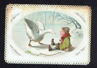 Goodall Victorian Christmas Greetings Card Goose Hissing At Boy