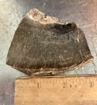 Reilly’s Rocks: Polished Dinosaur Bone Jurassic,  Utah,  182 Grams