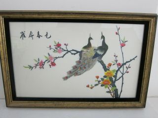Chinese Mid Century Vintage Framed Embroidered Silk Panel Peacocks Flowers 16x25