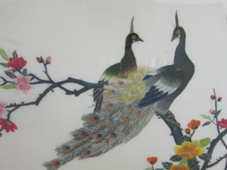 Chinese Mid Century Vintage Framed Embroidered Silk Panel Peacocks Flowers 16x25 2