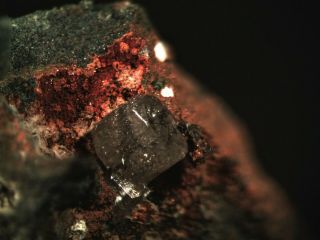 Phosgenite Rare Mineral Micromount From Greece