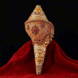 Chinese Antique Tibetan Buddhist Natural Conch Hand - Set Gemstone Instrument